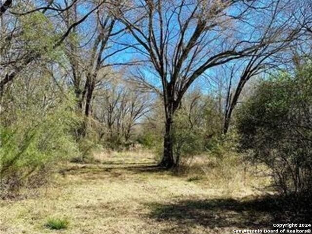 37.75 acres in Limestone County - photo 8