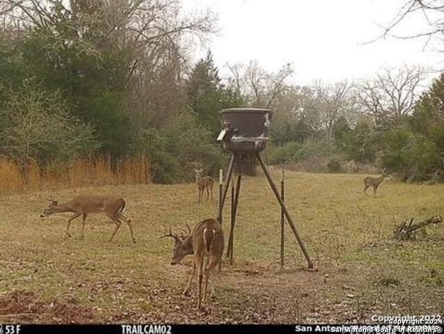 37.75 acres in Limestone County - photo 17