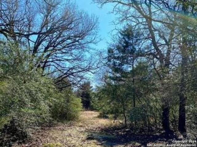 37.75 acres in Limestone County - photo 7