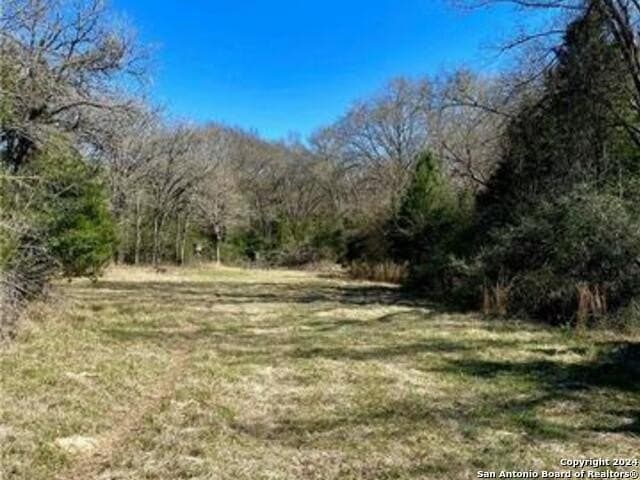37.75 acres in Limestone County - photo 2