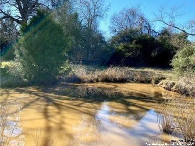 37.75 acres in Limestone County - photo 12