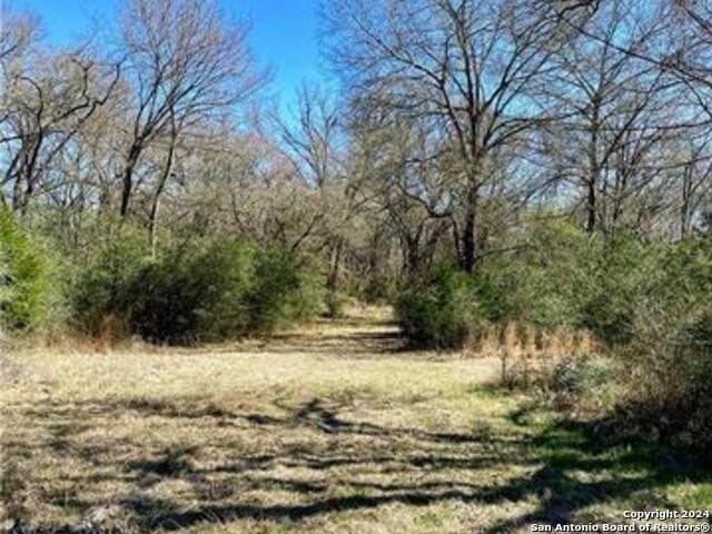 37.75 acres in Limestone County - photo 4
