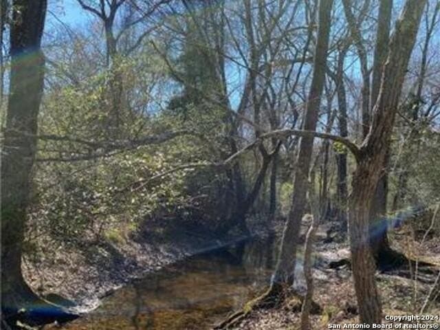 37.75 acres in Limestone County - photo 9
