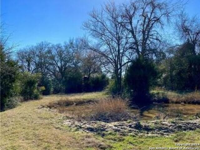 37.75 acres in Limestone County - photo 5