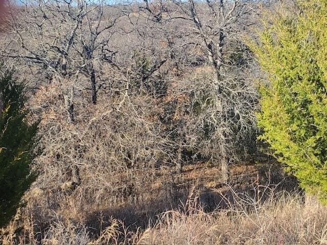 1.01 acres in Montague County - photo 5