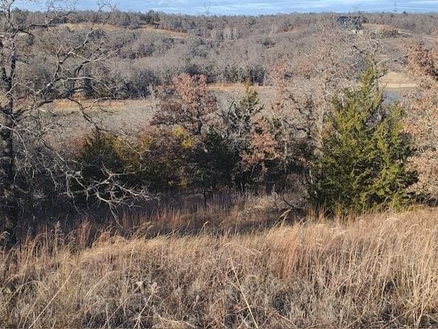 1.01 acres in Montague County - photo 2