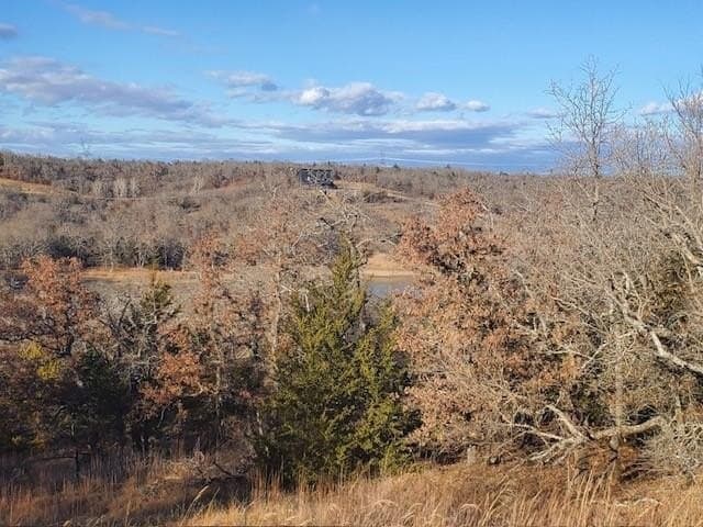 1.01 acres in Montague County - photo 3