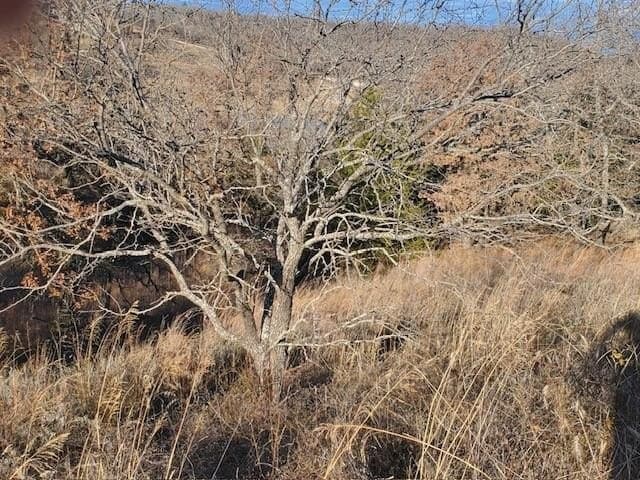 1.01 acres in Montague County - photo 4