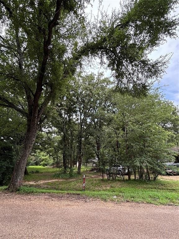 0.27 acres in Henderson County - photo 4