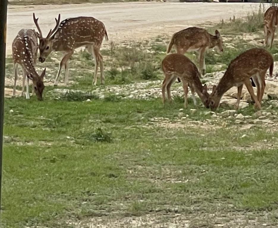 1.02 acres in Bandera County - photo 2