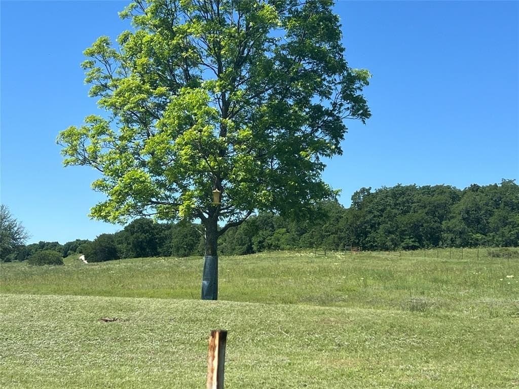 30.2 acres in Montague County - photo 31