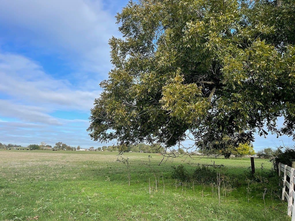 9.19 acres in Fayette County - photo 14