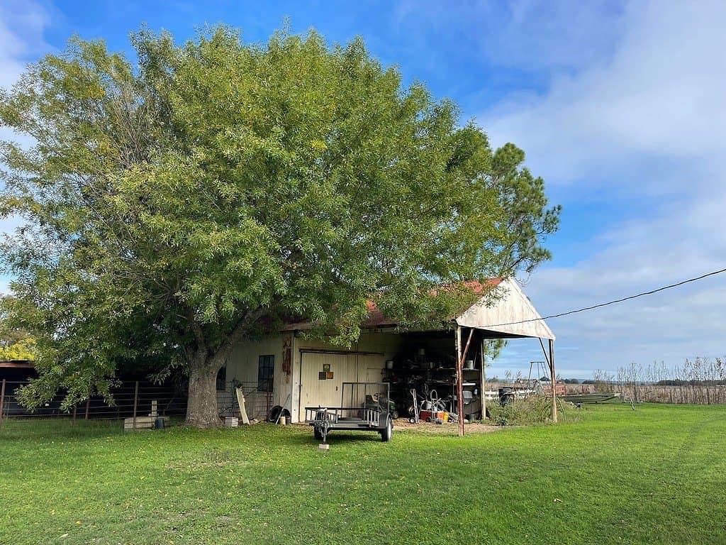 9.19 acres in Fayette County - photo 22