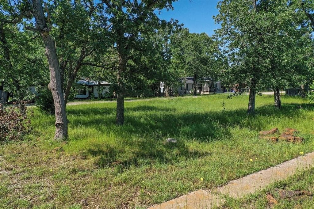 0.41 acres in Denton County - photo 5