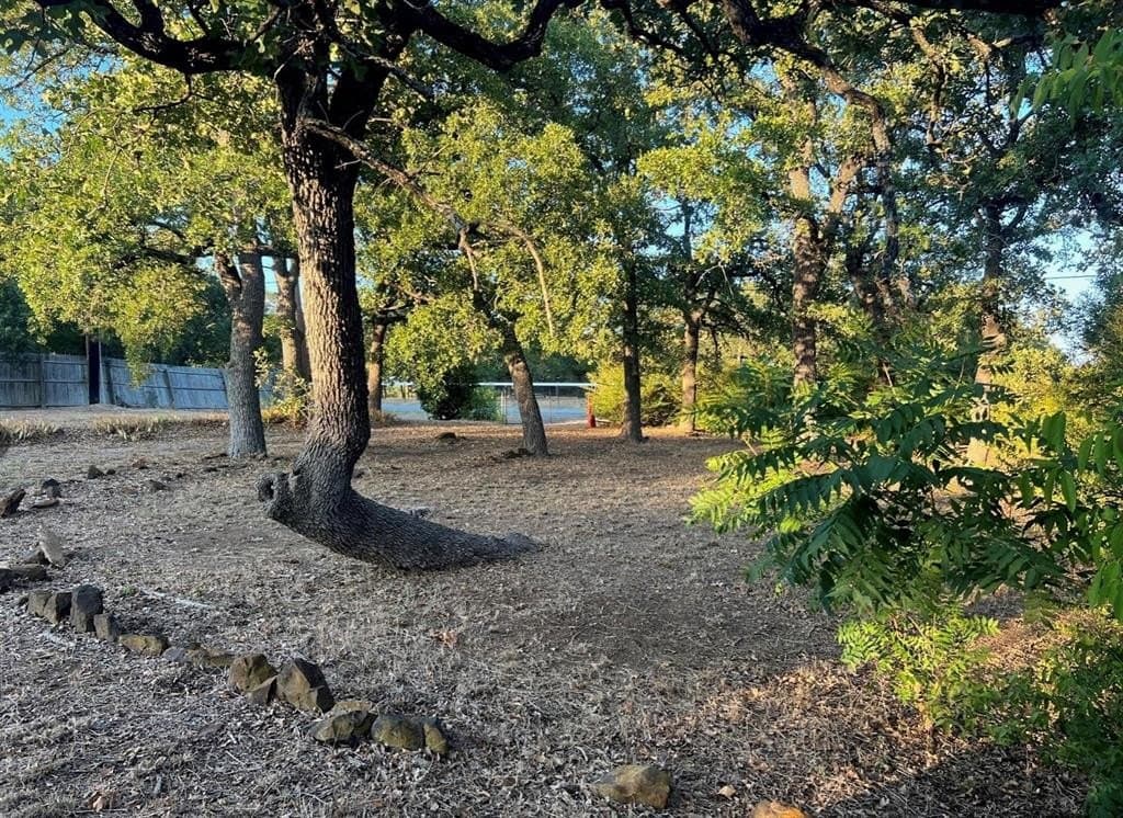 0.41 acres in Denton County - photo 8