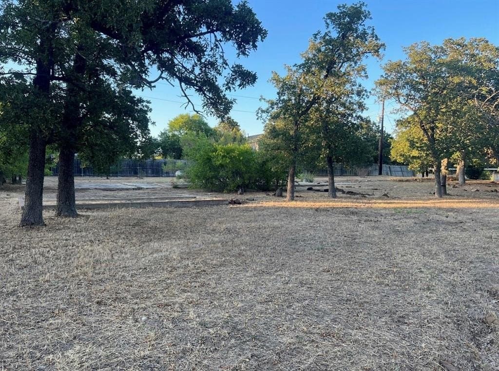 0.41 acres in Denton County - photo 7