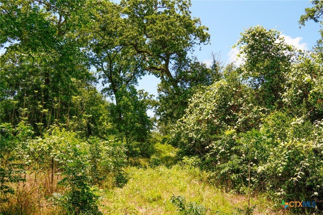 40 acres in Fayette County - photo 11