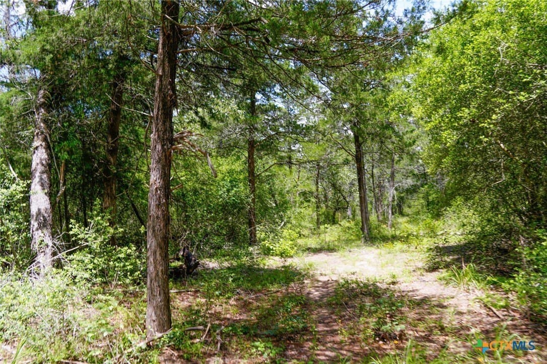 40 acres in Fayette County - photo 10