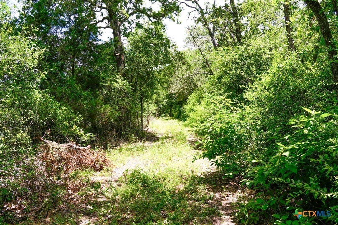 40 acres in Fayette County - photo 4