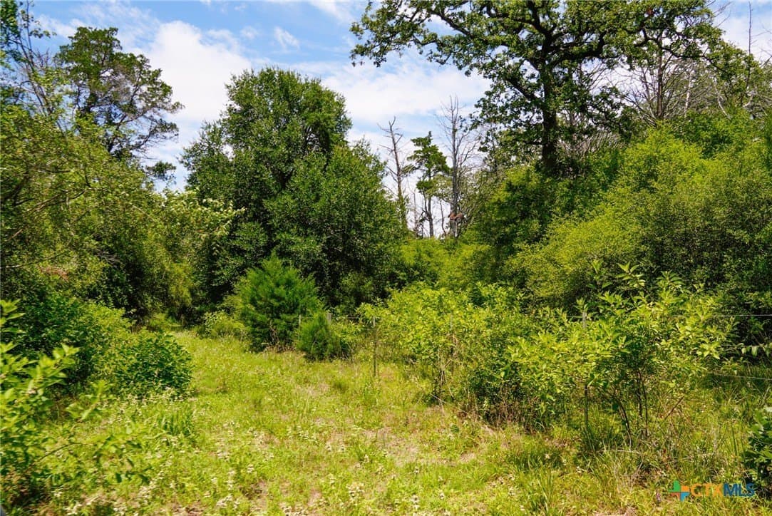 40 acres in Fayette County - photo 6