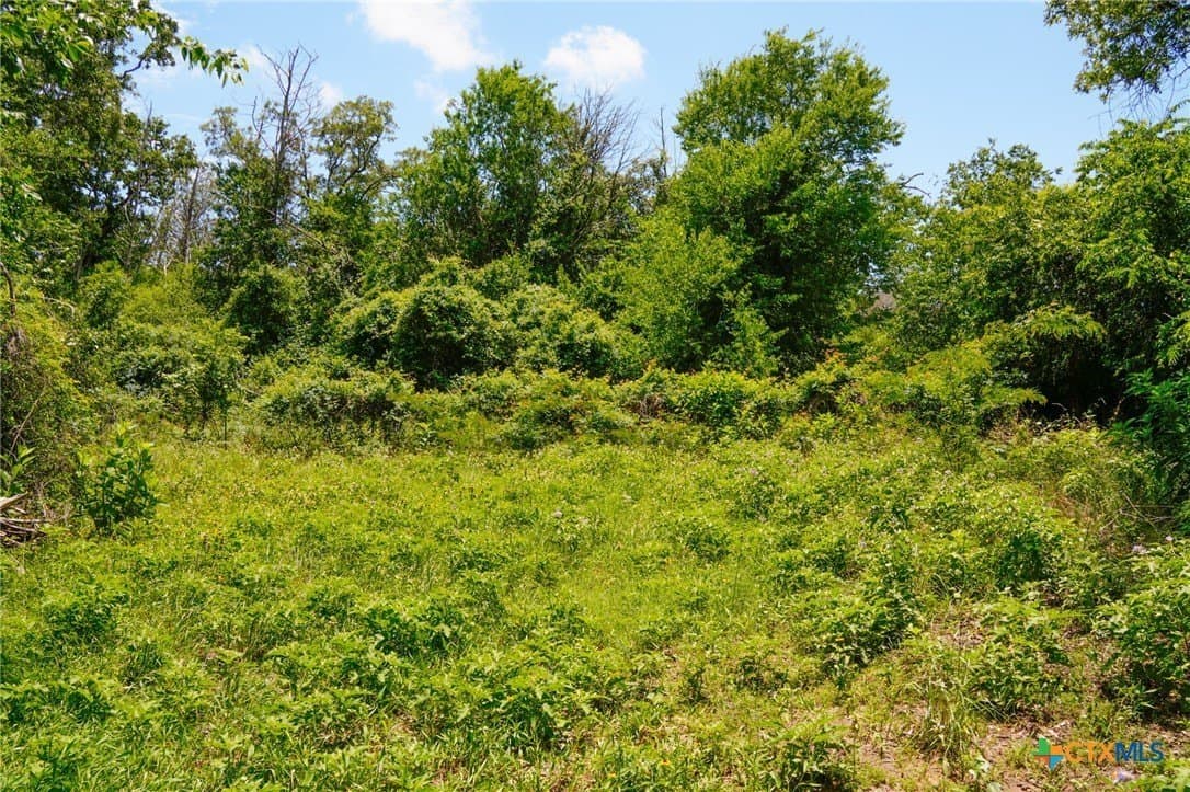 40 acres in Fayette County - photo 5