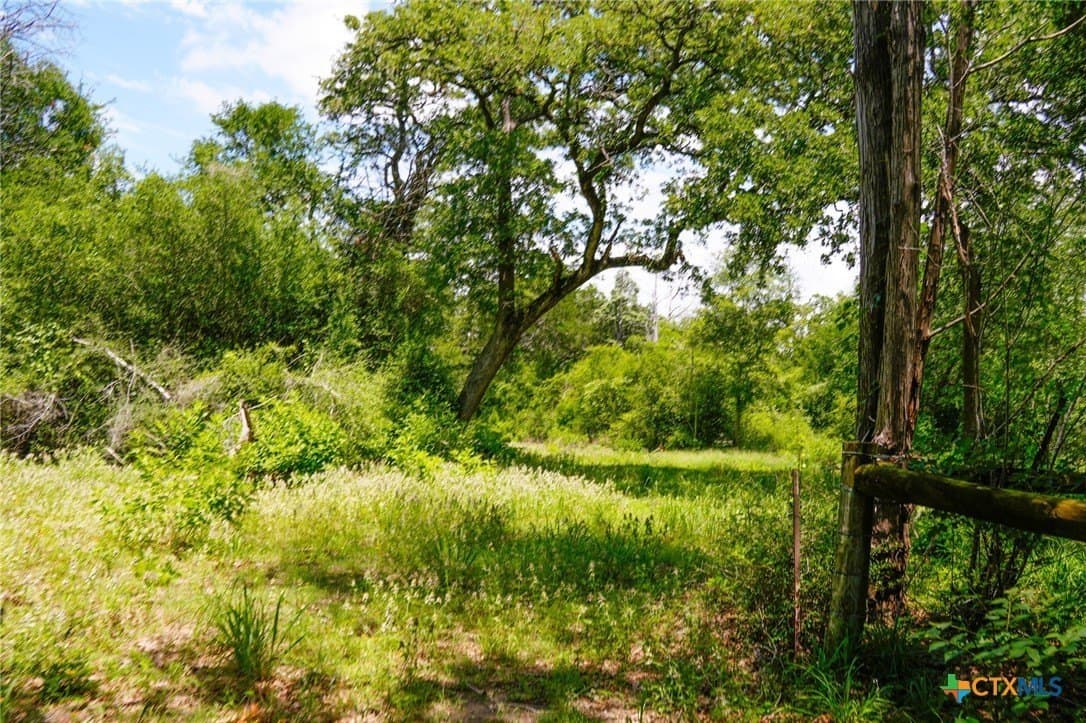 40 acres in Fayette County - photo 8