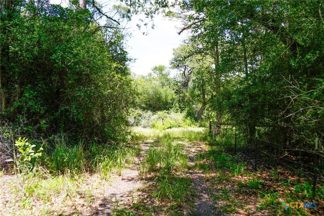 40 acres in Fayette County - photo 7