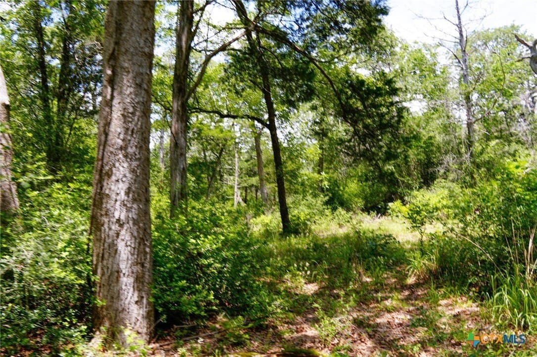 40 acres in Fayette County - photo 9