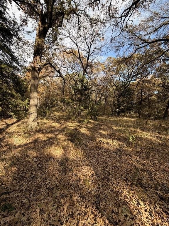 19.84 acres in Wise County - photo 16