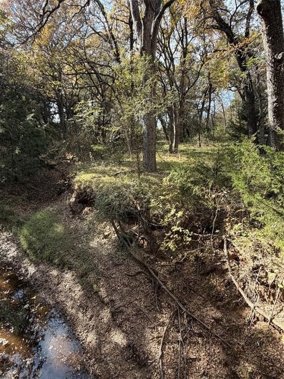 19.84 acres in Wise County - photo 27