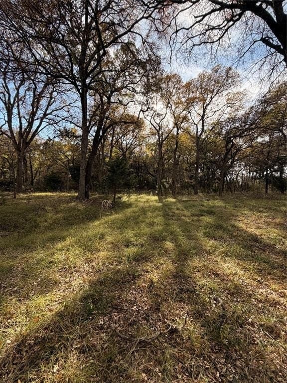 19.84 acres in Wise County - photo 21