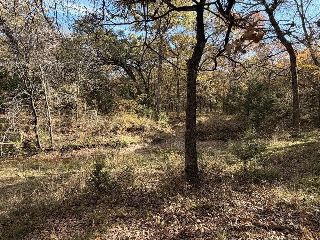 19.84 acres in Wise County - photo 32