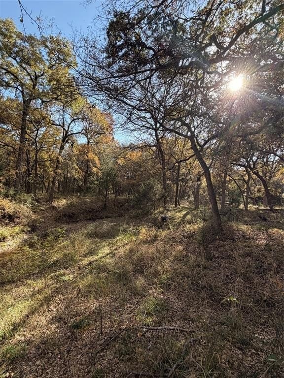 19.84 acres in Wise County - photo 35