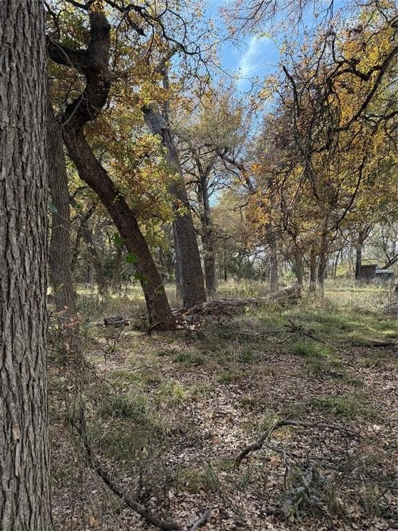 19.84 acres in Wise County - photo 34