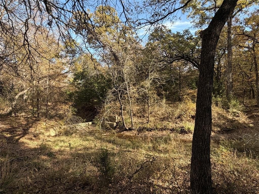19.84 acres in Wise County - photo 31