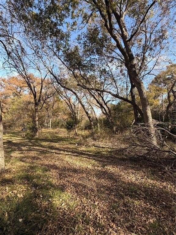 19.84 acres in Wise County - photo 36