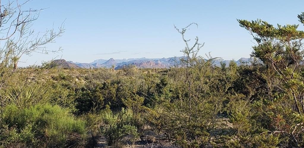20 acres in Brewster County - photo 2