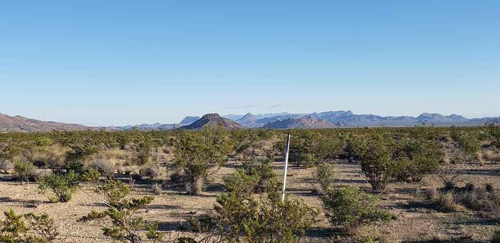 20 acres in Brewster County - photo 9