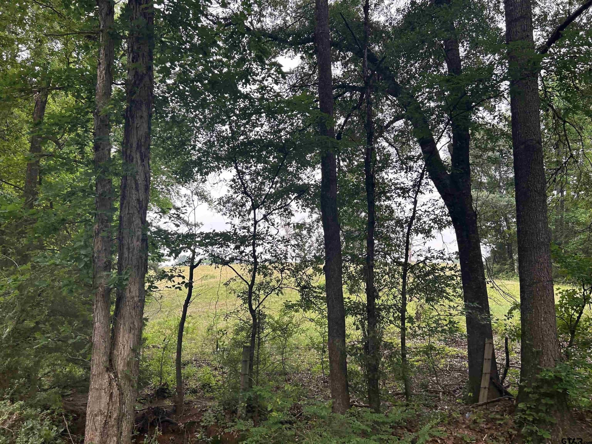 LOT 9  5+ ACRES FM 15