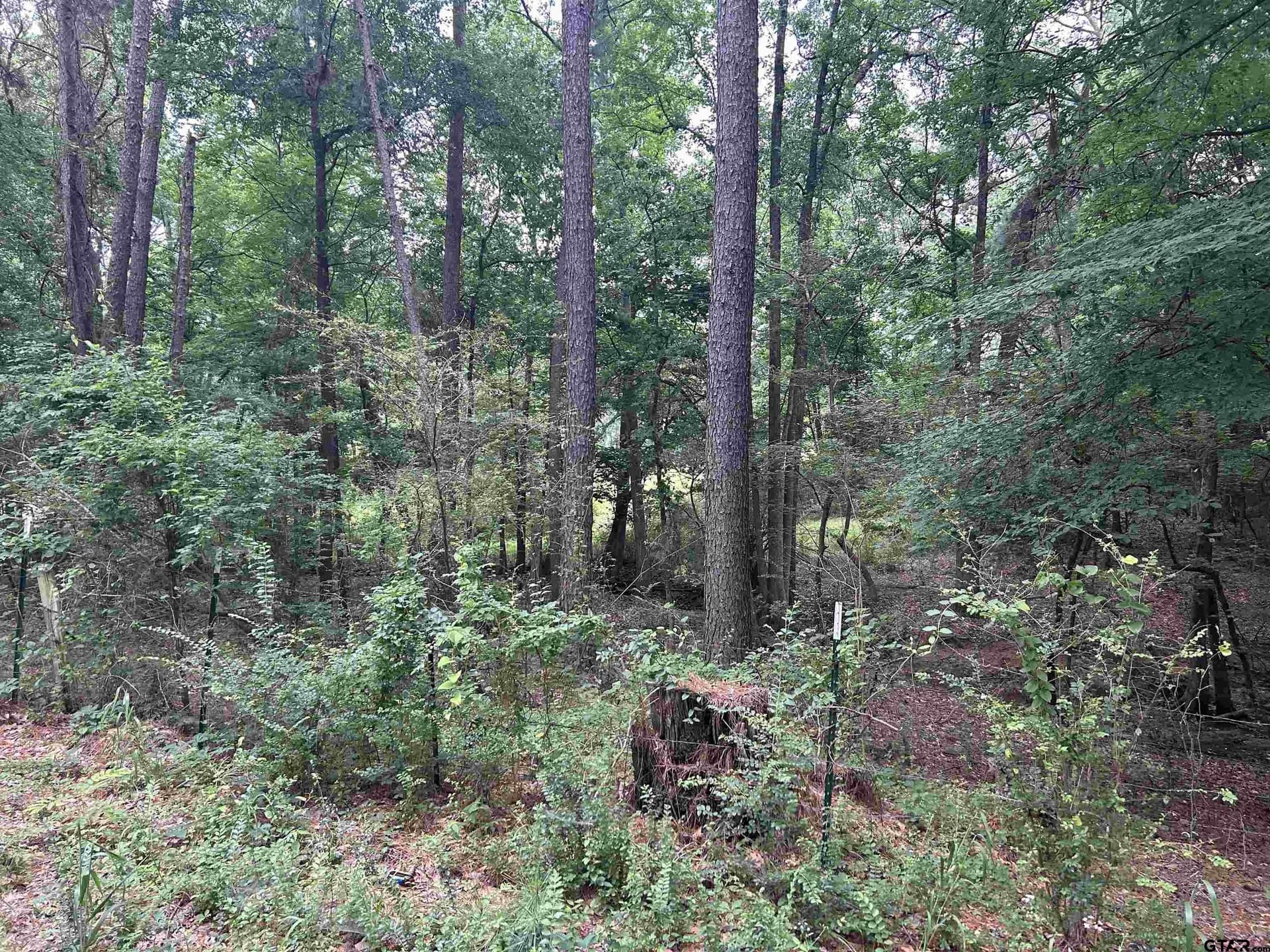 5.45 acres in Smith County - photo 6