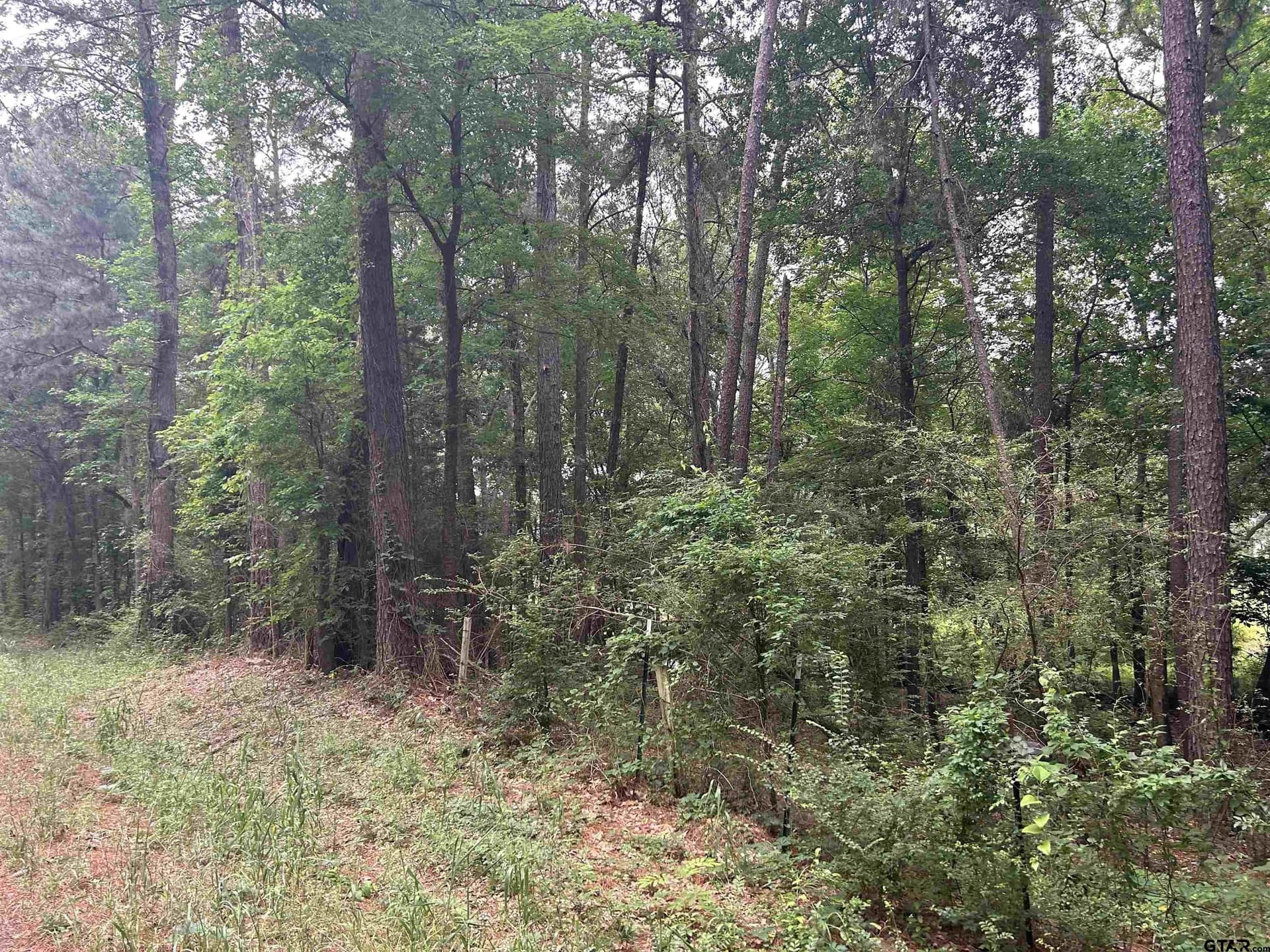 5.45 acres in Smith County - photo 3