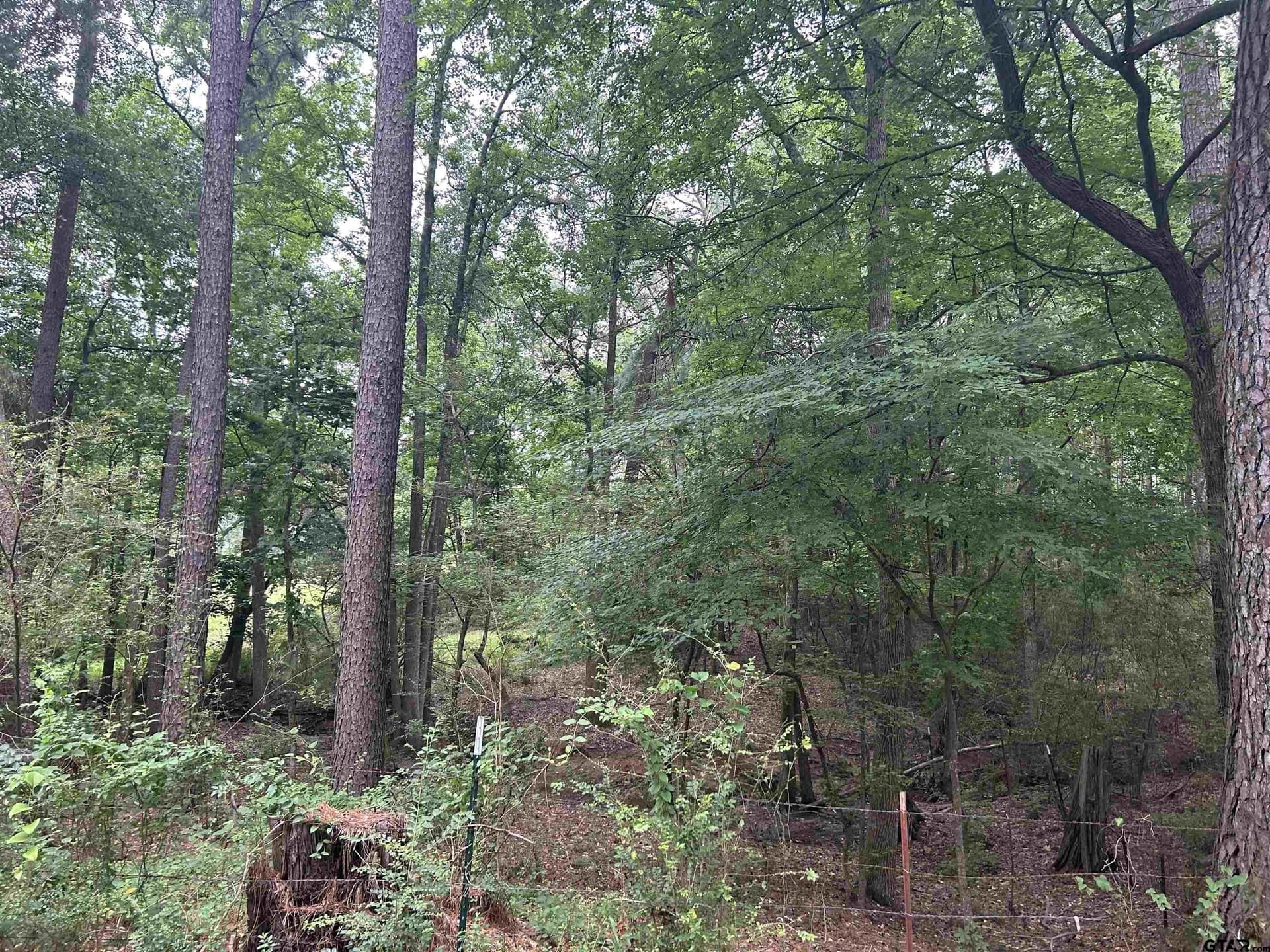 5.45 acres in Smith County - photo 5