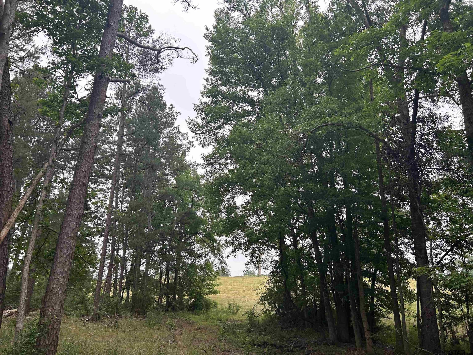 5.45 acres in Smith County - photo 4