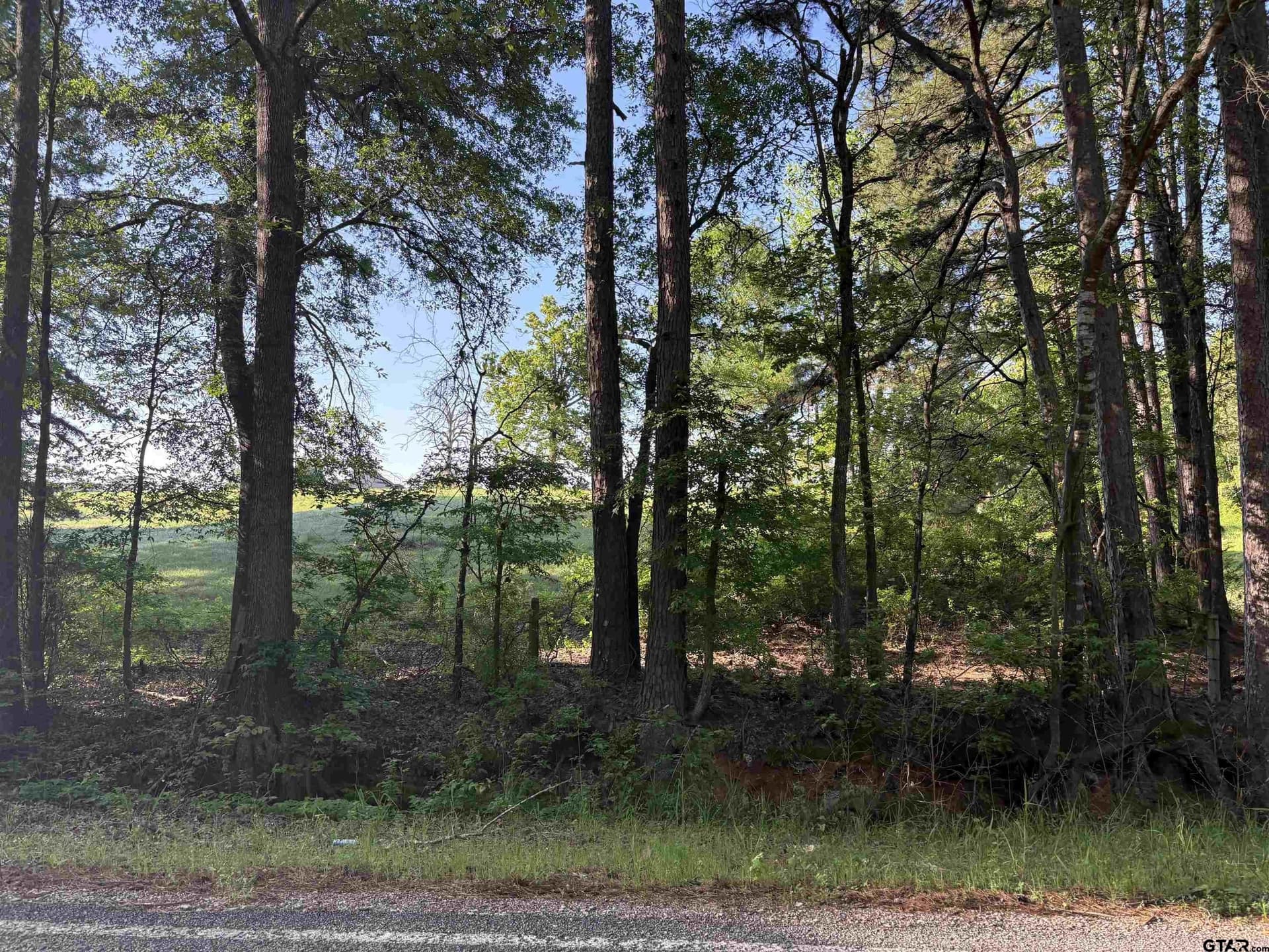 5.45 acres in Smith County - photo 2