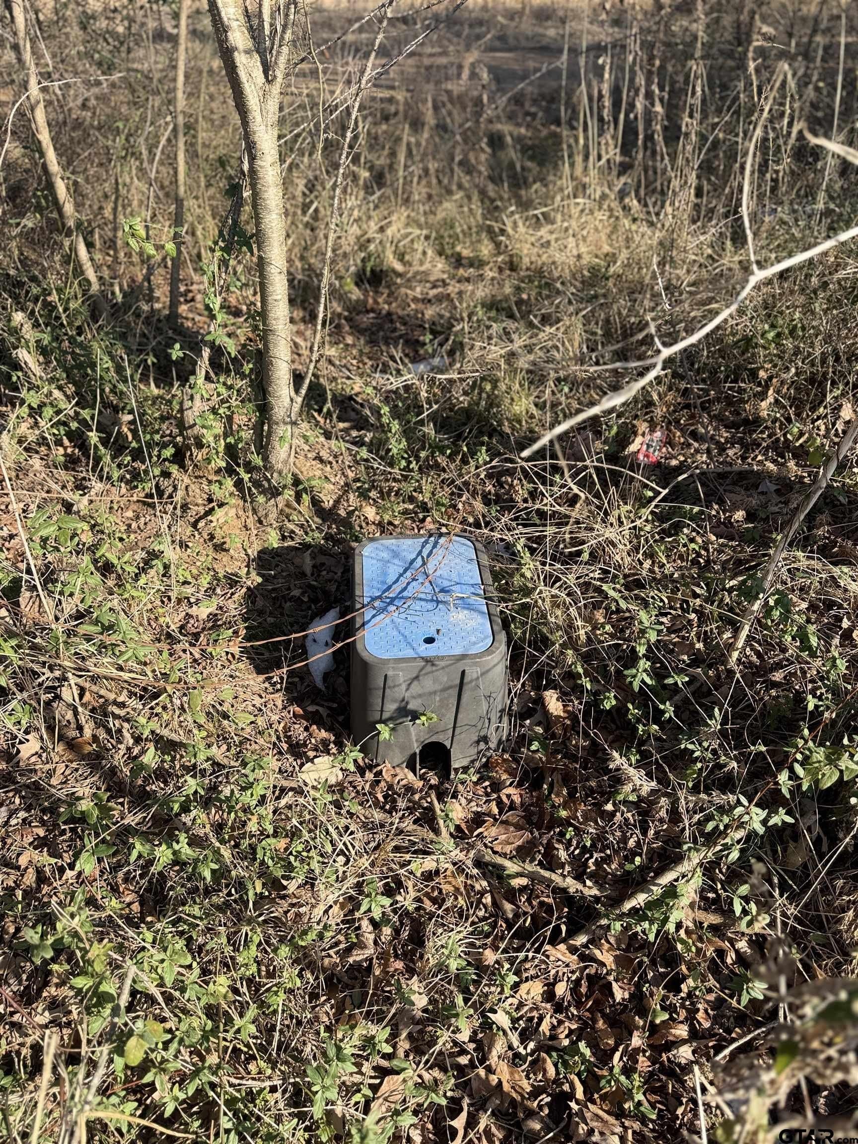 1.13 acres in Smith County - photo 11