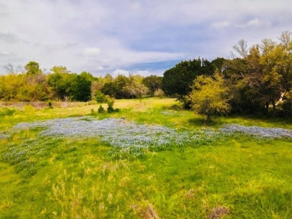 2.51 acres in McLennan County - photo 4