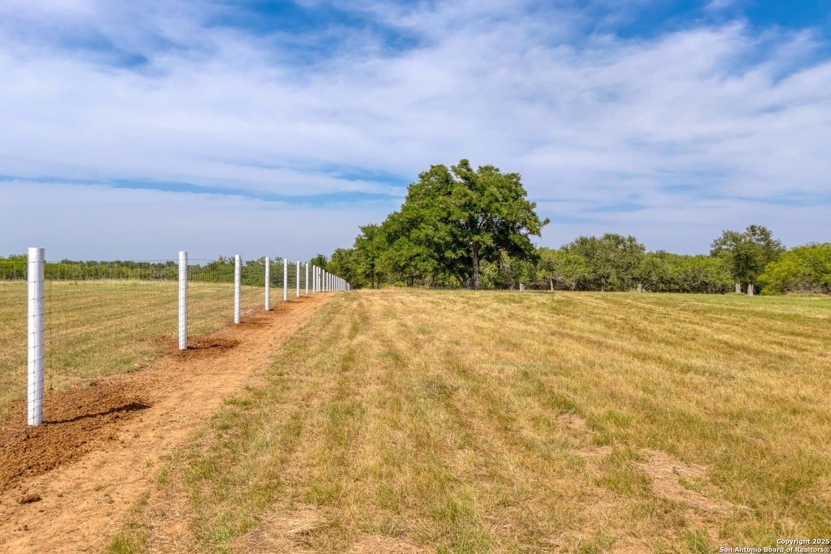 10 acres in Bastrop County - photo 6