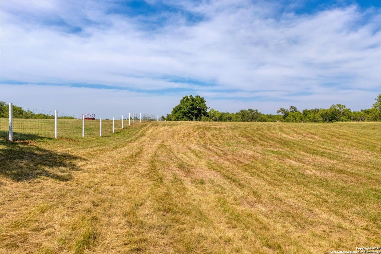 10 acres in Bastrop County - photo 7