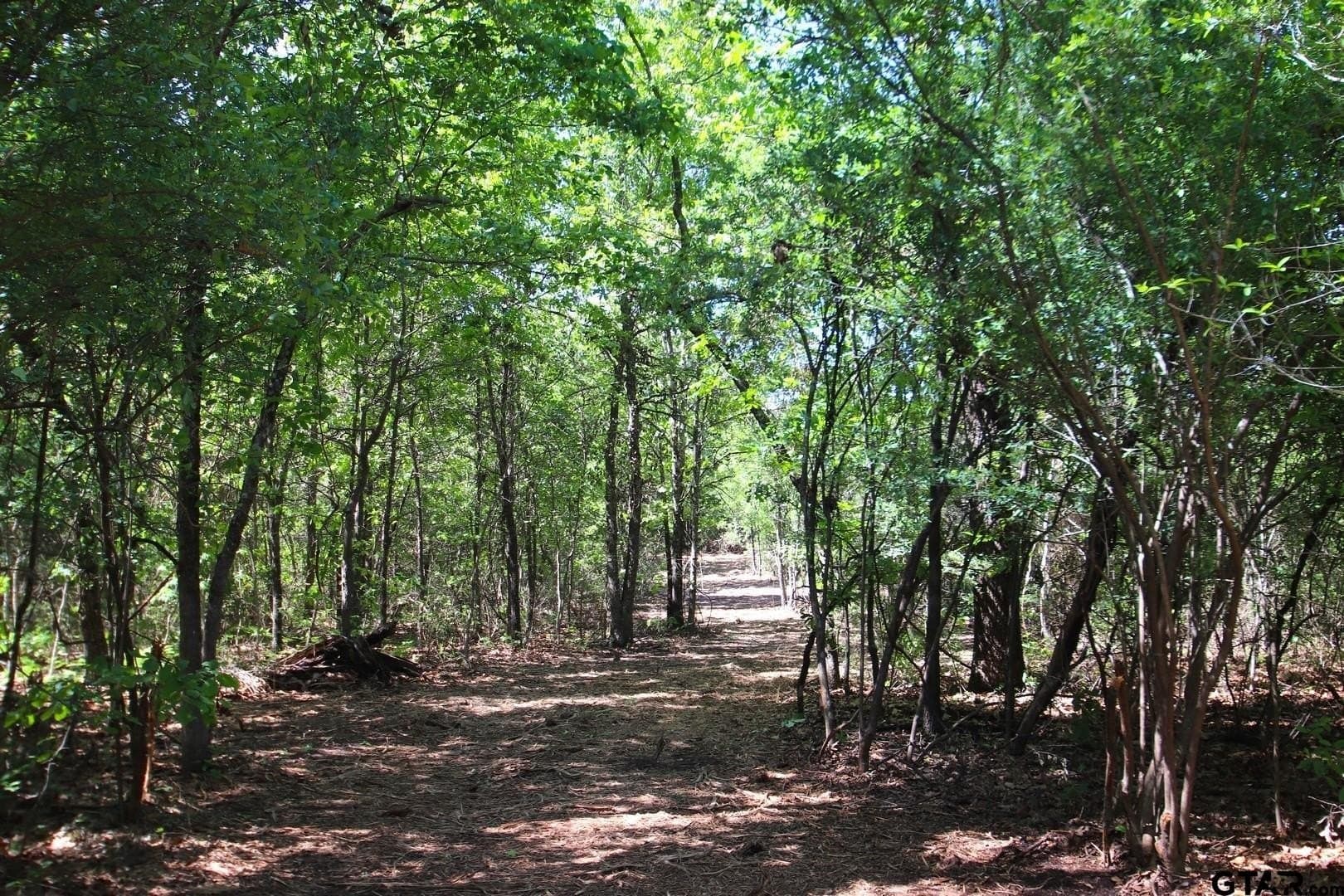 19.08 acres in Wood County - photo 17
