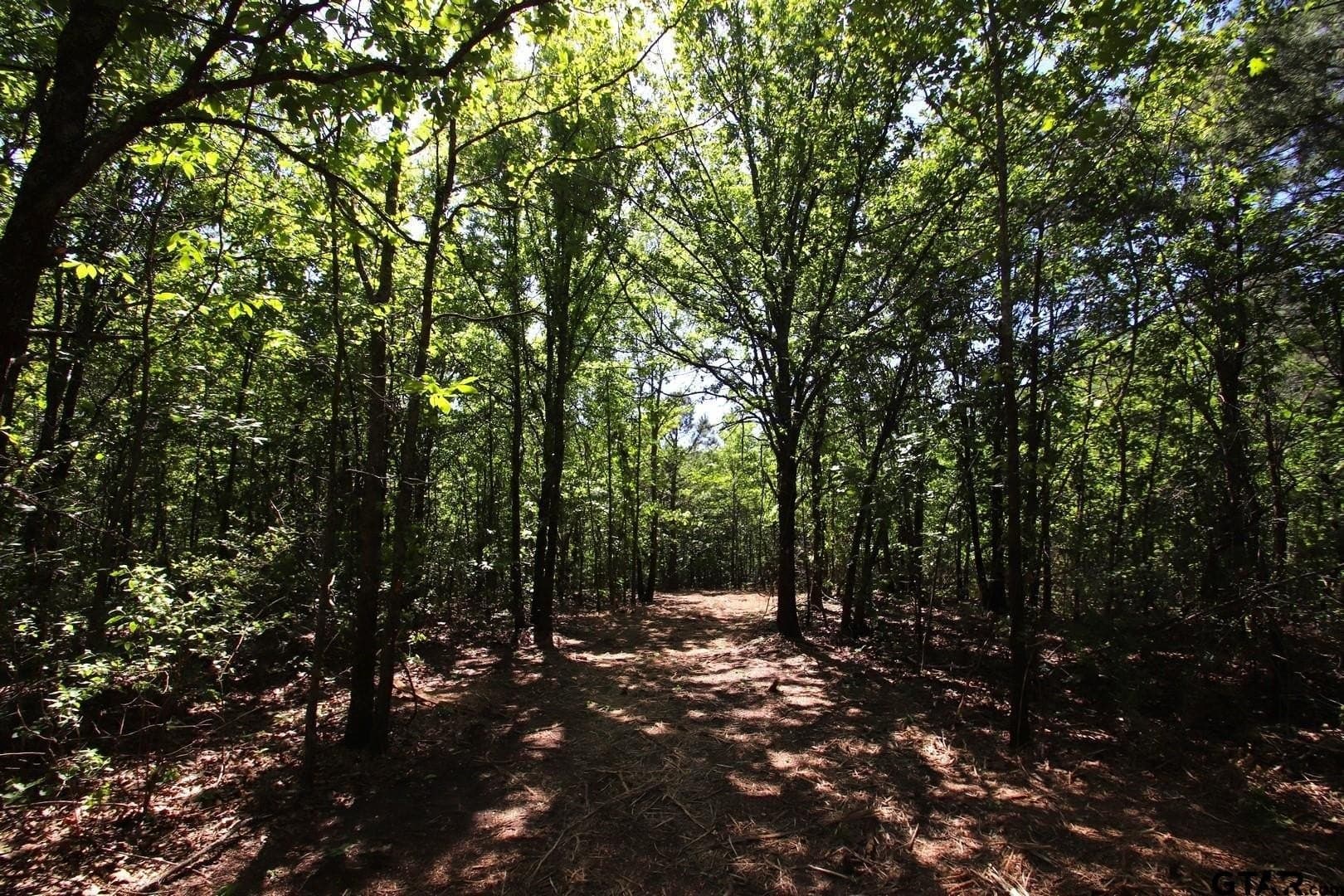 19.08 acres in Wood County - photo 20